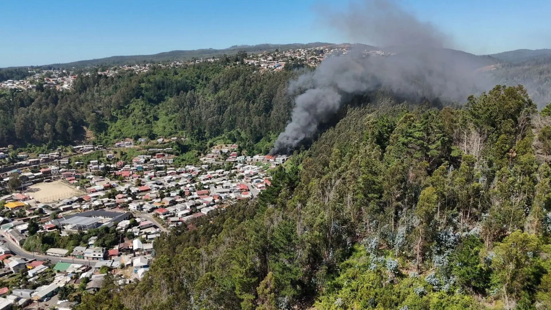 Incendios forestales en el Biobío: Gobierno cortará el suministro eléctrico de ser necesario