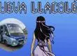 Línea de buses del Gran Concepción estrena boleto de la princesa mapuche Llacolén ilustrado por dibujante de Marvel Cómics