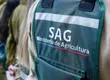 Qué es Thrynteina arnobia: La plaga forestal que interceptó el SAG en buque que llegó a Talcahuano
