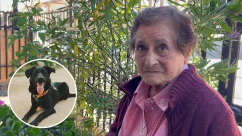 “Les importa más el perro que un humano”: Adulta mayor de 91 años en Hualpén justificó recurso de protección contra vecinos por ladridos de mascota