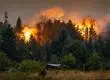 Desastre incendiario en Argentina: Focos siguen quemado miles de hectáreas en la Patagonia