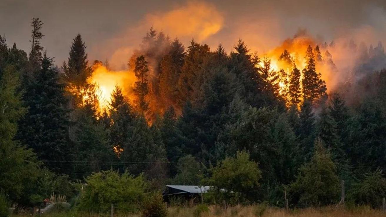 Desastre incendiario en Argentina: Focos siguen quemado miles de hectáreas en la Patagonia