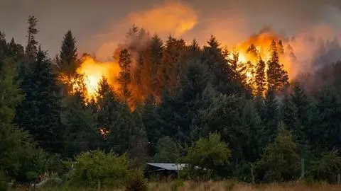 Desastre incendiario en Argentina: Focos siguen quemado miles de hectáreas en la Patagonia