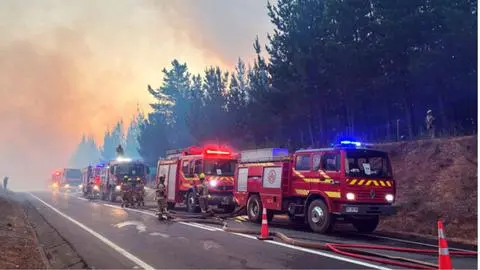 Denuncian ataque a bomberos mientras combatían incendio forestal en Concepción
