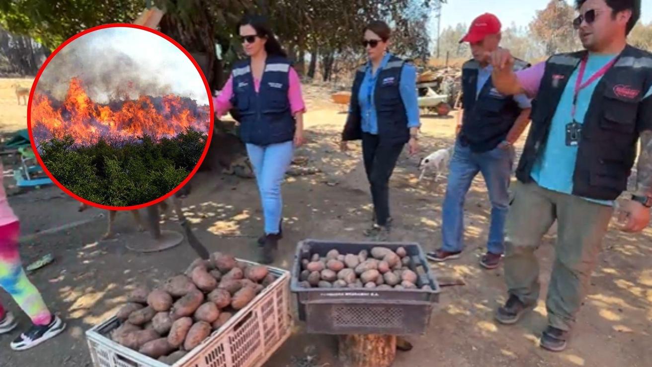Decretan Emergencia Agrícola para Biobío: Estos son los beneficios para los productores locales
