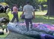 Autoridades incautan juegos inflables en el Parque Ecuador de Concepción por no contar con autorización
