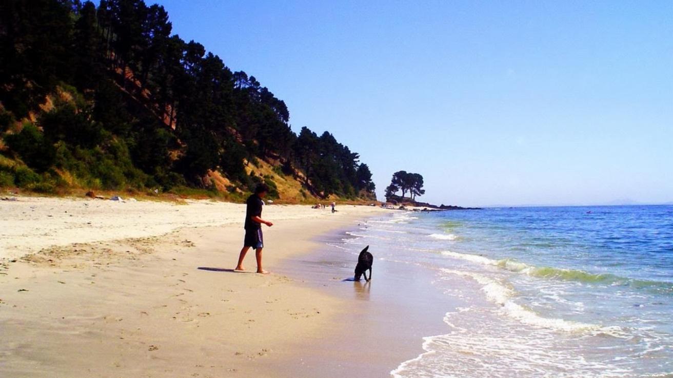 Estas son 3 playas menos concurridas en Tomé y cómo llegar desde Concepción