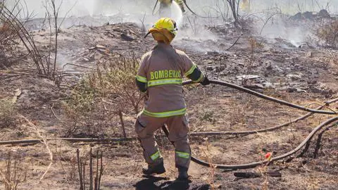 Bomberos exigen mayor fiscalización tras incendio provocado por exbrigadista en Coronel
