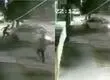 Ex FACh mató a dos delincuentes que intentaron asaltarlo mientras trabajaba como conductor de app en Maipú