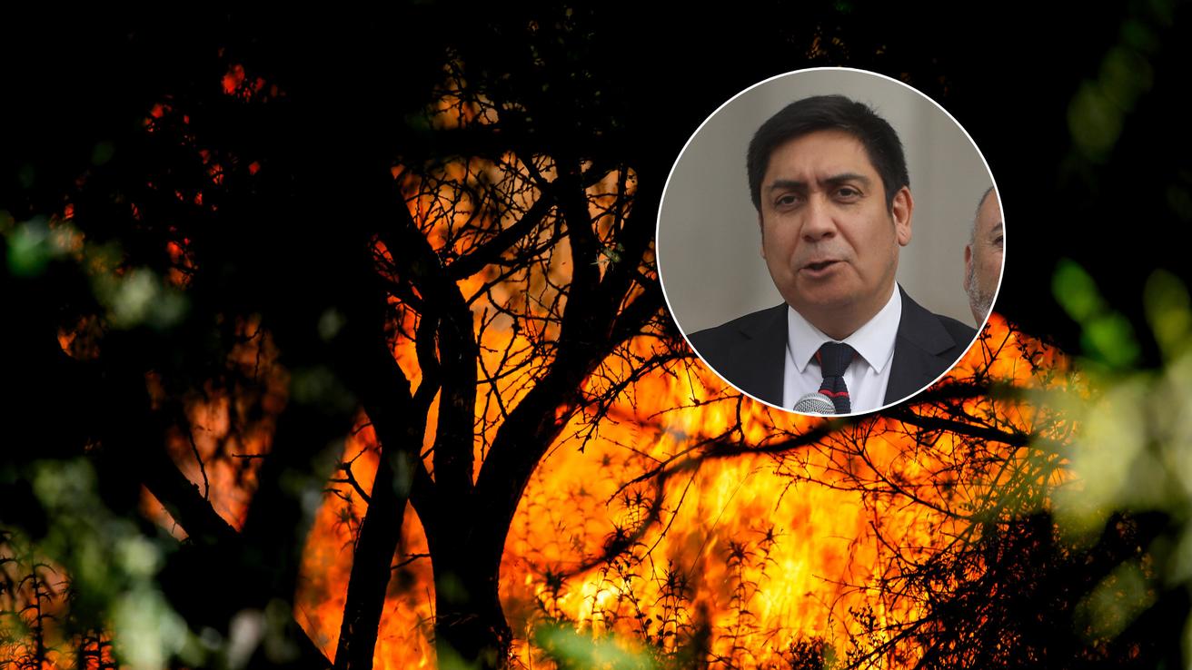 Subsecretario del Interior aborda uso de fuego técnico tras solicitud de forestales en el Biobío