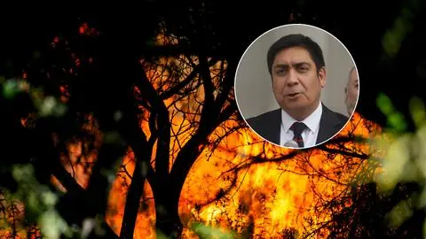 Subsecretario del Interior aborda uso de fuego técnico tras solicitud de forestales en el Biobío