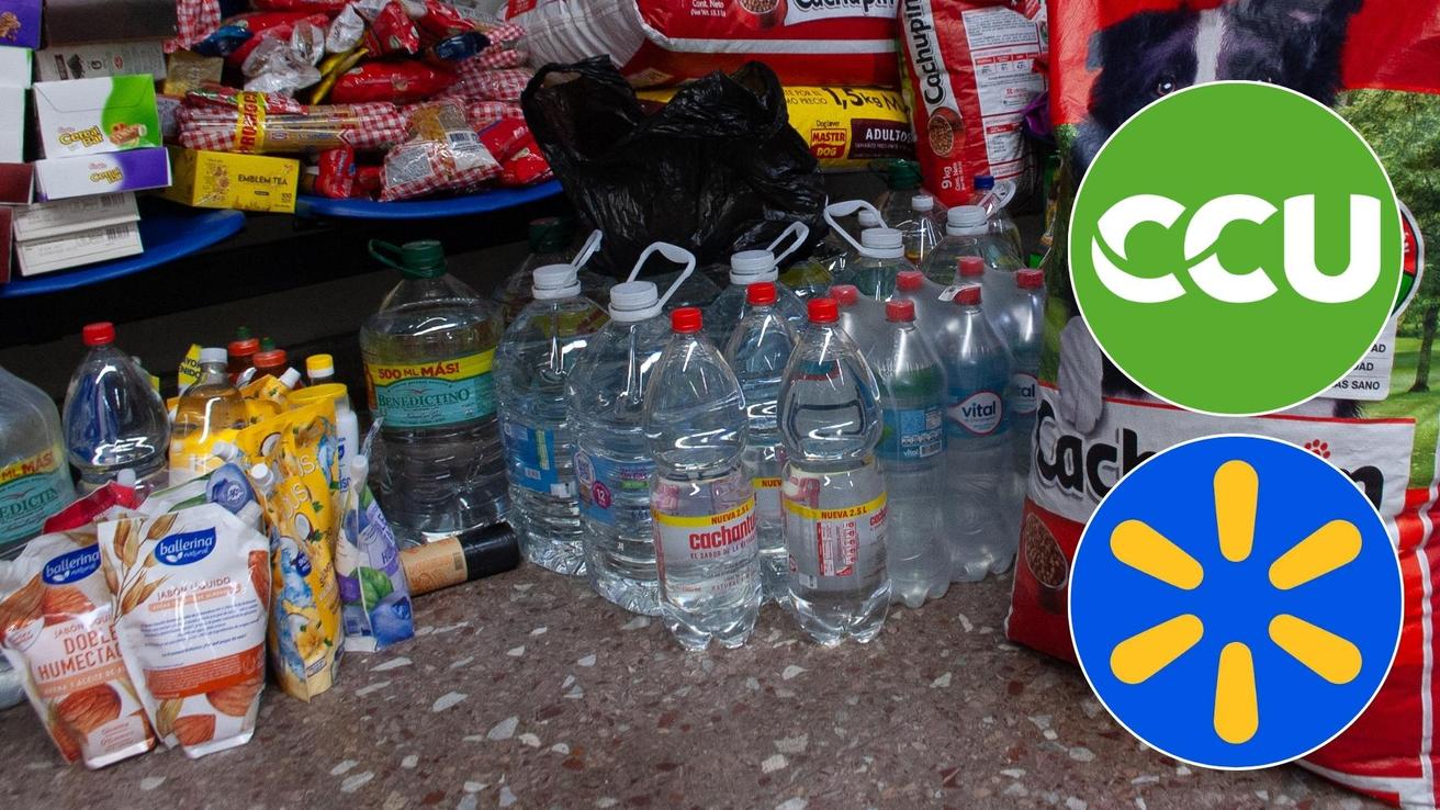 Multinacionales se suman a campaña solidaria en apoyo a damnificados por incendios en el Biobío