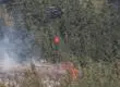 Daños por incendios en el Parque Nacional Nonguén: 300 hectáreas afectadas y cifra sigue en aumento