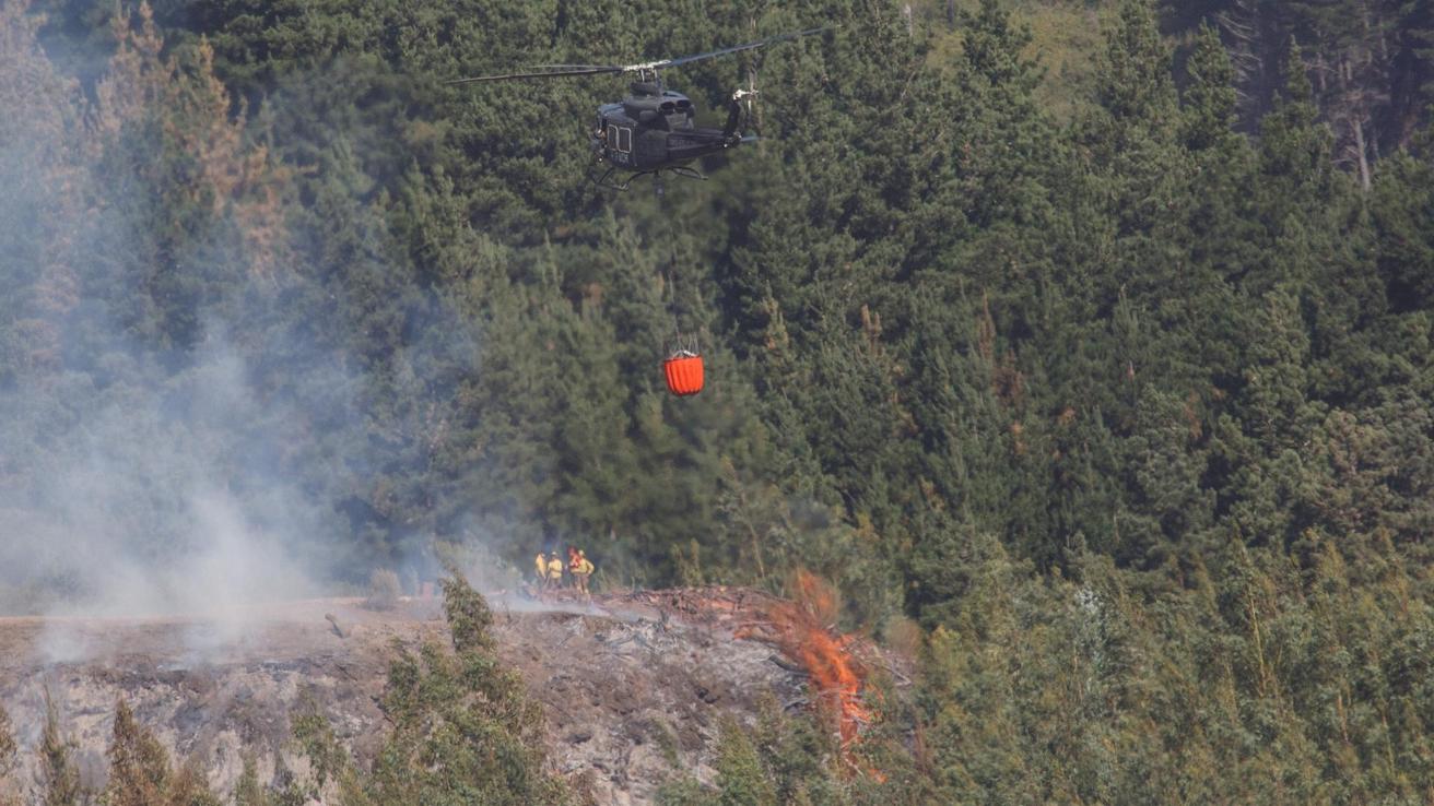 Daños por incendios en el Parque Nacional Nonguén: 300 hectáreas afectadas y cifra sigue en aumento