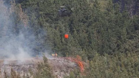 Daños por incendios en el Parque Nacional Nonguén: 300 hectáreas afectadas y cifra sigue en aumento