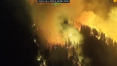 Denuncian incendio forestal intencional en Lebu tras encontrar velas encendidas en terreno de Forestal Arauco