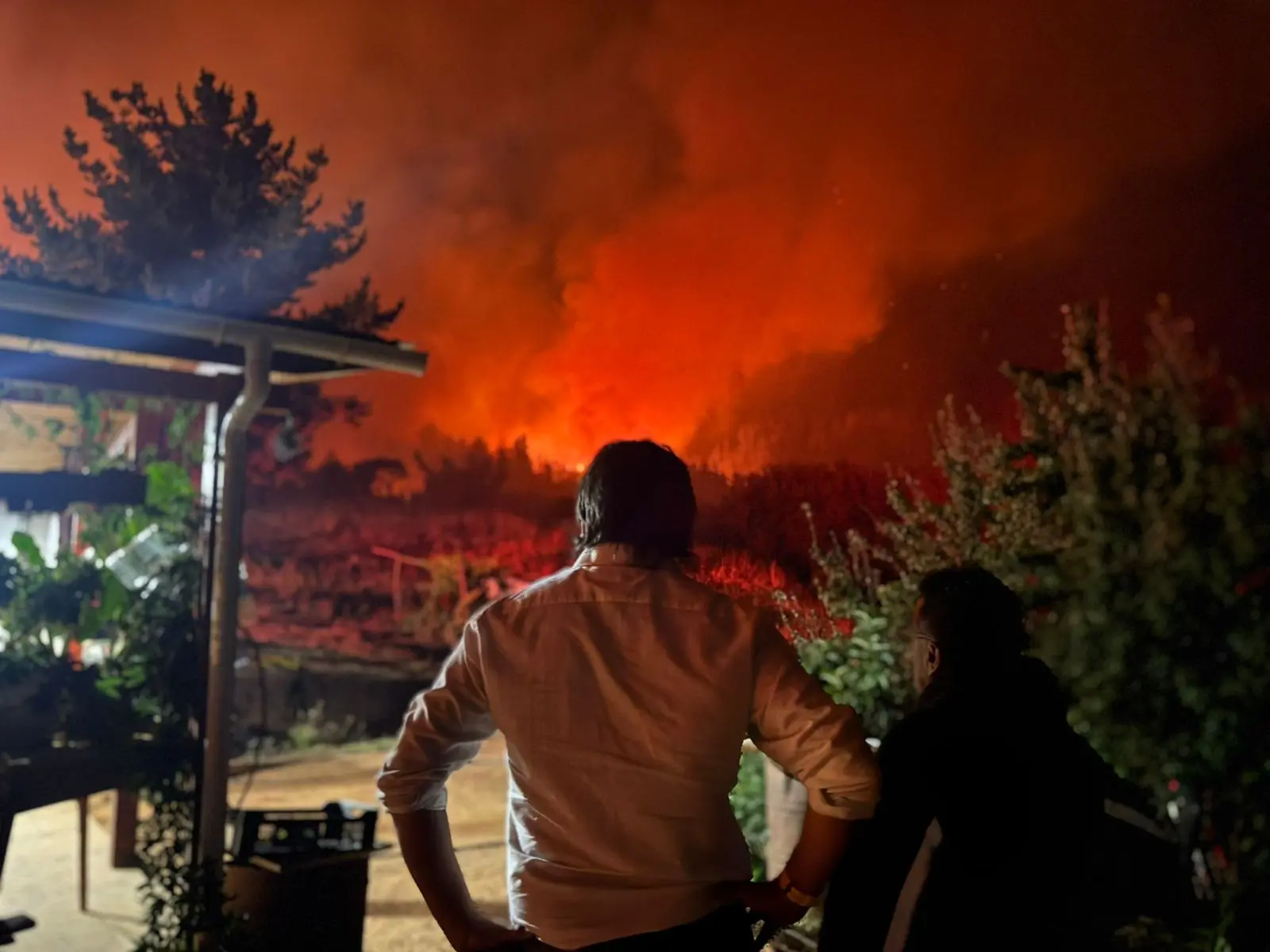 Incendio forestal en Ránquil continúa en combate tras arrasar más de 1.600 hectáreas y afectar a más de 15 estructuras