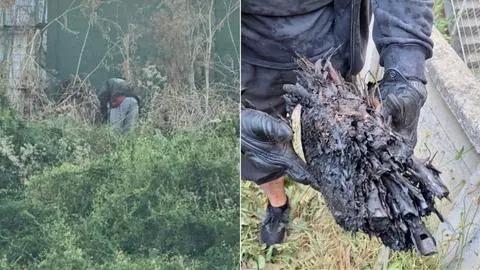 Detienen a un hombre de 50 años que intentó iniciar un incendio en Penco