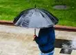 Pronostican probable lluvia con tormenta eléctrica en este sector del Biobío para el lunes 5 de enero