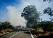 Continúa combate de incendio forestal en Ránquil: van 220 hectáreas quemadas