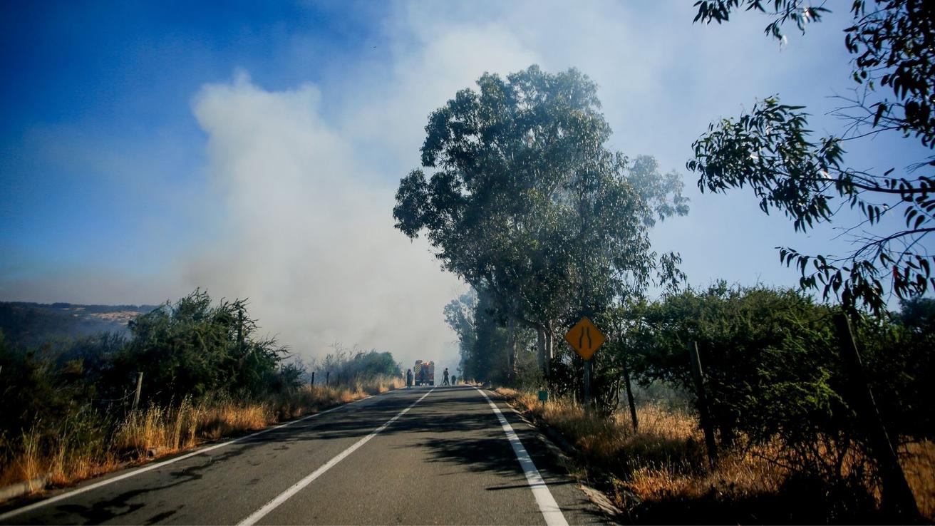 Continúa combate de incendio forestal en Ránquil: van 220 hectáreas quemadas