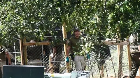 Hallan golpeado y gravemente herido a adulto mayor de 90 años testigo clave en el caso Julia Chuñil