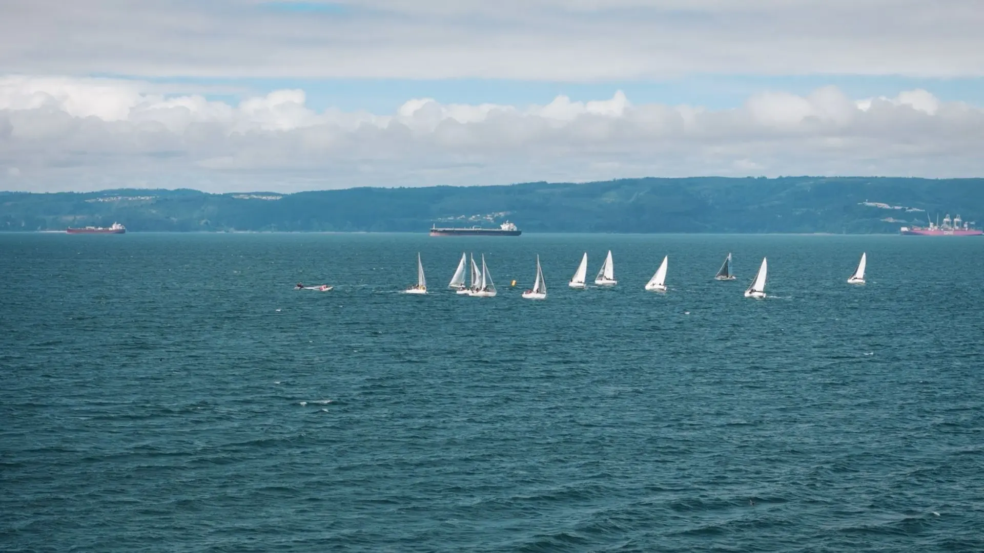 Empresas Vega Monumental celebrará sus 45 años con regata náutica en Penco