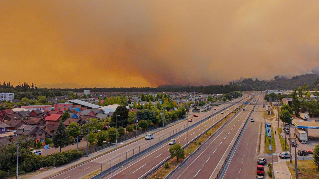 Seis incendios forestales siguen en combate en el Biobío: van más de 25 mil hectáreas quemadas