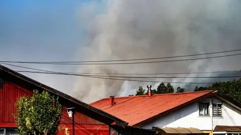 Aumentan a siete los incendios forestales en combate en el Biobío: casi 30 mil hectáreas quemadas