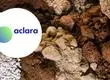 Empresa Aclara emite declaración pública tras incendios forestales en Penco y el Biobío