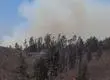Más de 31.500 hectáreas han sido quemadas en el Biobío: siete incendios forestales continúan en combate