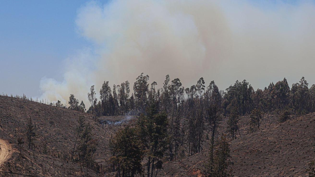 Más de 31.500 hectáreas han sido quemadas en el Biobío: siete incendios forestales continúan en combate