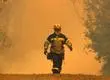Activan alerta SAE en Florida y Quillón por incendio forestal