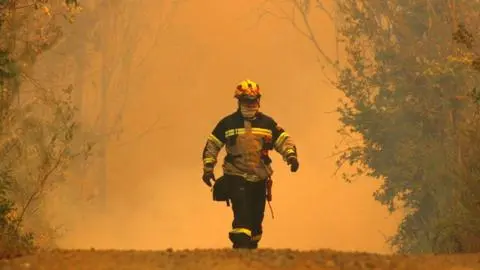Activan alerta SAE en Florida y Quillón por incendio forestal