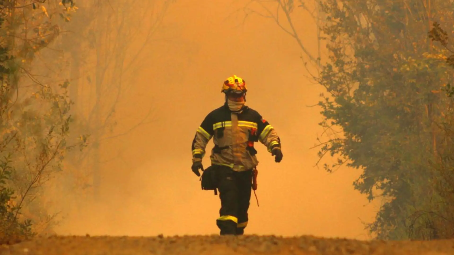 Activan alerta SAE en Florida y Quillón por incendio forestal