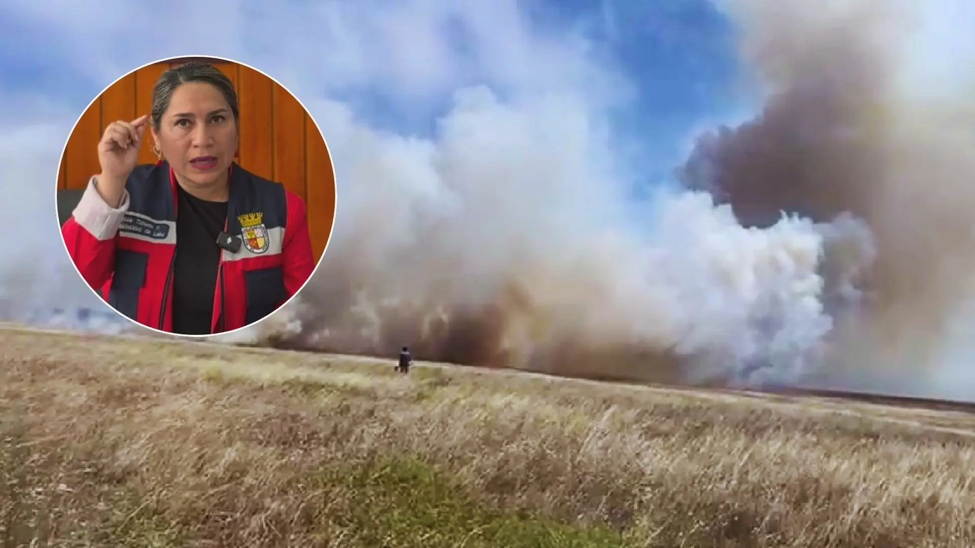 Sin compañías de bomberos: alcaldesa de Lebu pide ayuda para apagar un incendio de pastizales en Isla Mocha