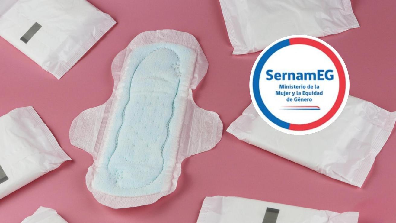 SernamEG entregará cerca de 500 kits de salud menstrual a mujeres afectadas por incendios en Biobío y Ñuble