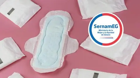 SernamEG entregará cerca de 500 kits de salud menstrual a mujeres afectadas por incendios en Biobío y Ñuble