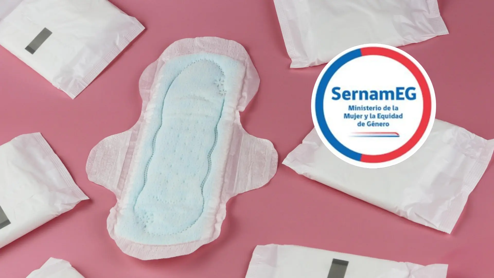 SernamEG entregará cerca de 500 kits de salud menstrual a mujeres afectadas por incendios en Biobío y Ñuble