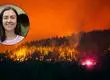 ¿Qué es el viento puelche? Experta USS explica fenómeno clave en incendios forestales de Biobío y Ñuble
