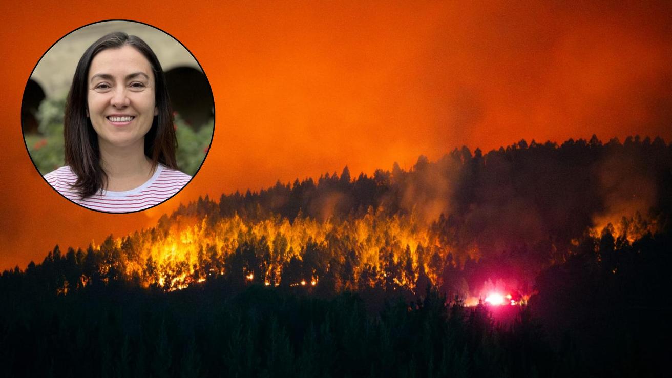 ¿Qué es el viento puelche? Experta USS explica fenómeno clave en incendios forestales de Biobío y Ñuble