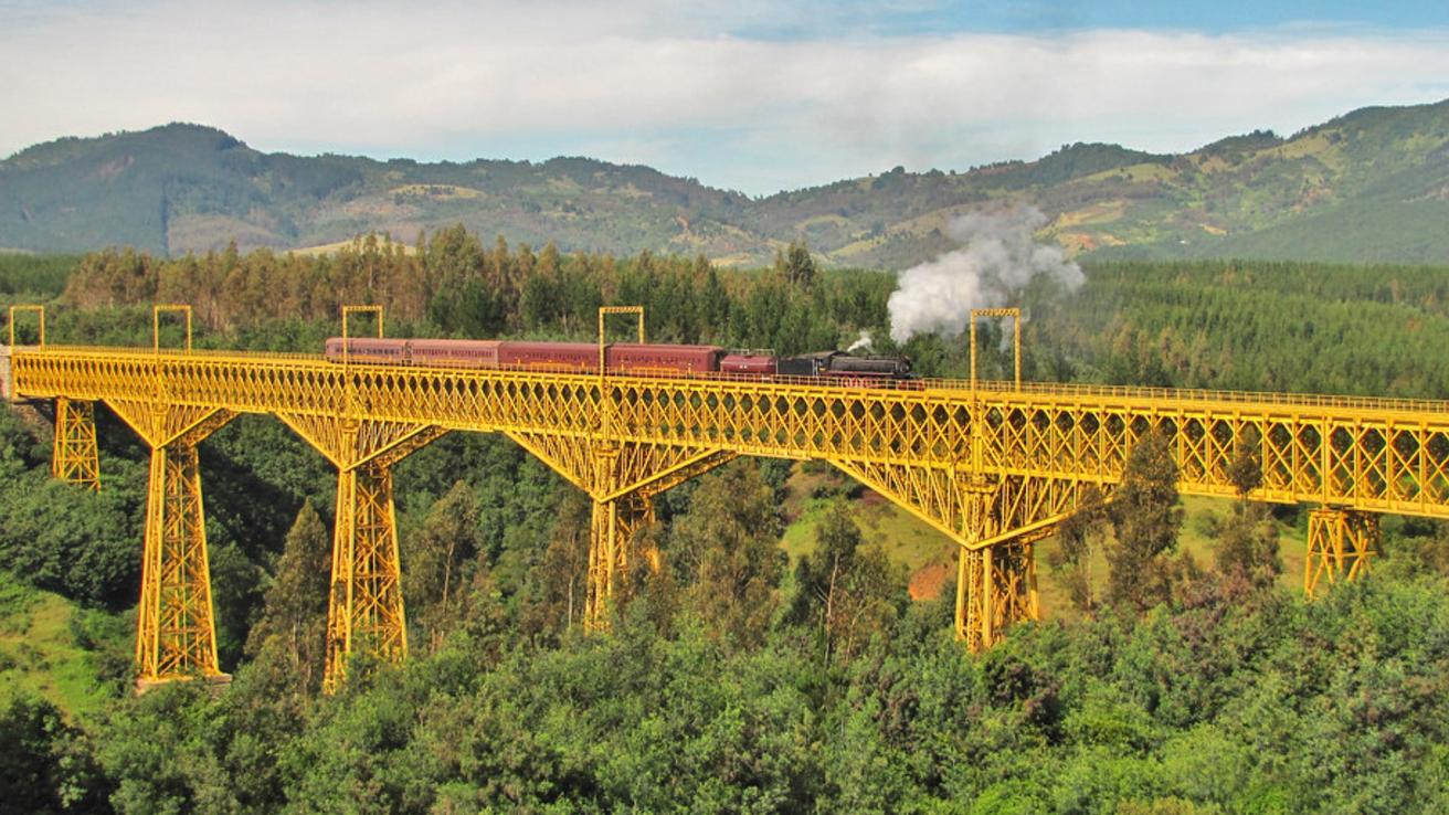 El Tren del Recuerdo emprende rumbo al sur: Anuncian viajes nocturnos de ruta Santiago-Temuco por vacaciones de verano