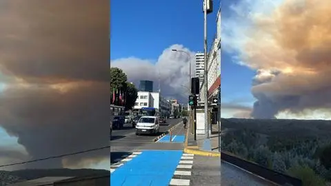 Incendios forestales causan estragos en el Biobío: Llaman a evacuar sector de Penco y declaran Alerta Roja en Concepción