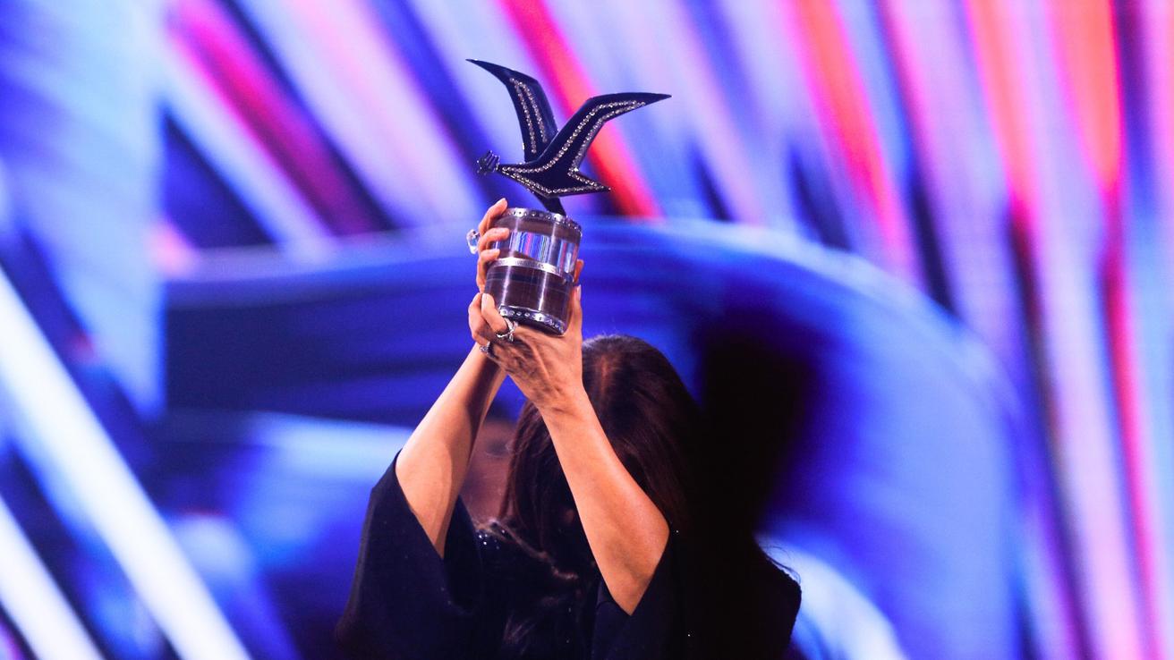 Festival de Viña 2026 confirma su parrilla completa: estos son los artistas y humoristas por día
