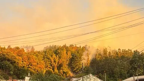 Solicitan evacuar el sector de Chaimávida por incendios forestales