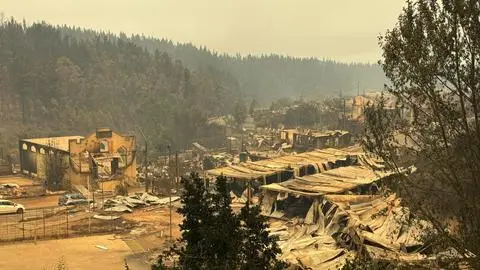 En esto consiste la ficha FIBE que se aplicará en Biobío y Ñuble tras los incendios forestales