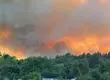 Alerta roja sigue vigente en Biobío y Ñuble por incendios forestales: Gobierno anuncia programa de vacunación