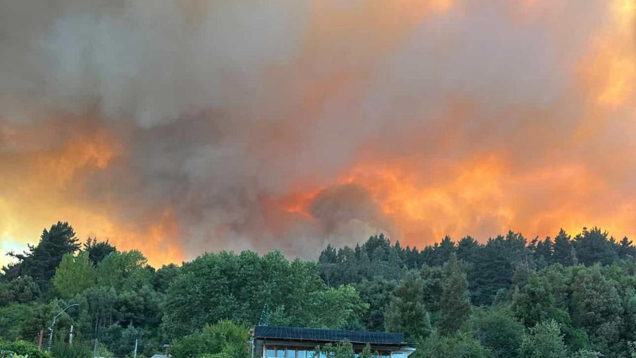 Alerta roja sigue vigente en Biobío y Ñuble por incendios forestales: Gobierno anuncia programa de vacunación