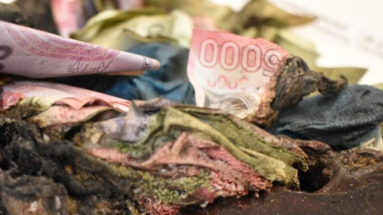 Banco Central explica cómo recuperar dinero quemado tras incendios