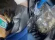 Perro policial detecta mochila llena de marihuana en bus interprovincial
